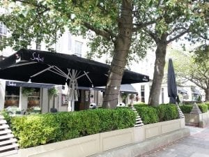 Scalinis - part of Malhotra Group, users of BeeBox Background Music and Digital Signage